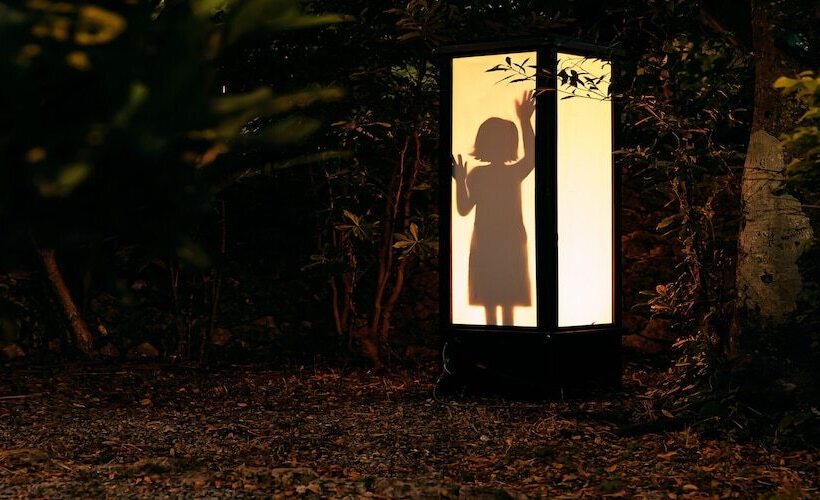 בית מלון כפרי Murasakimura