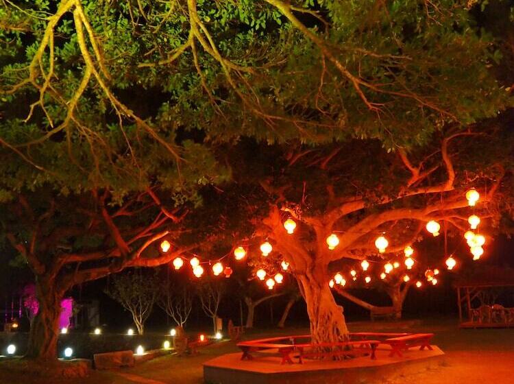 בית מלון כפרי Murasakimura