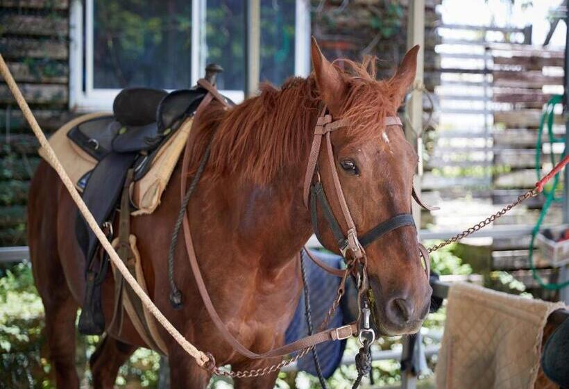 בית מלון כפרי Murasakimura