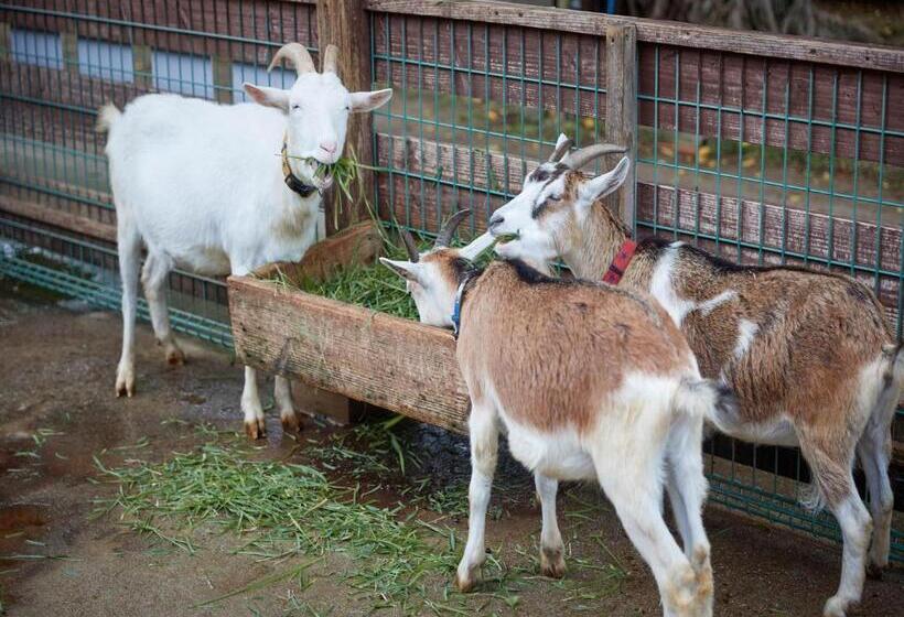 בית מלון כפרי Murasakimura