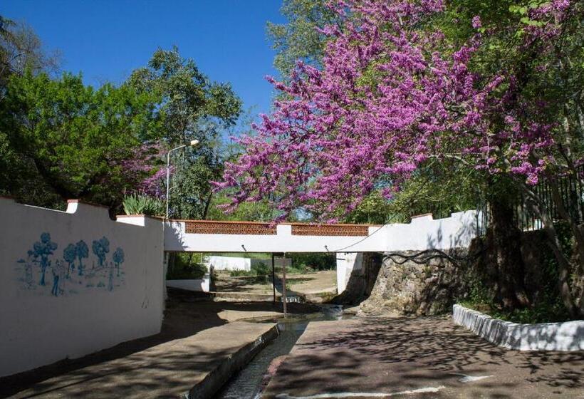 민박 Termas Da Sulfurea