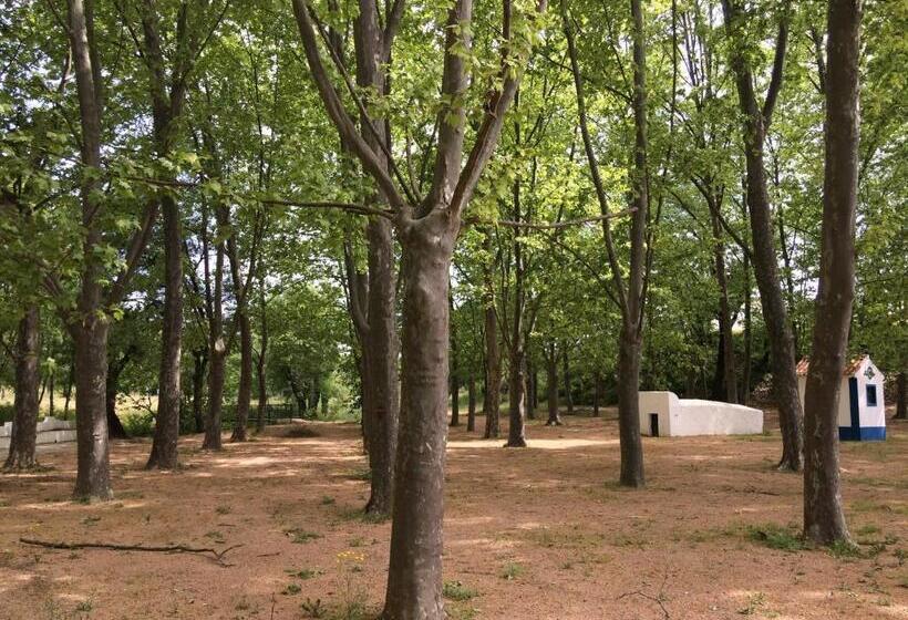 민박 Termas Da Sulfurea