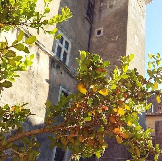 민박 Antica Corte Del Castello