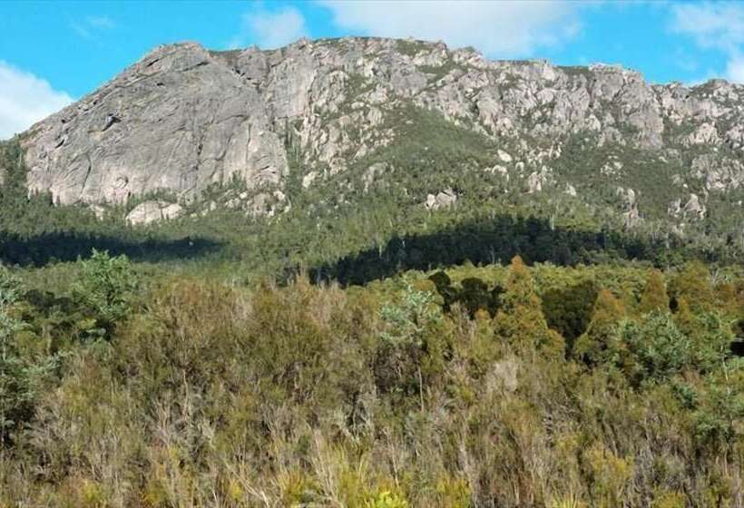 Bed and Breakfast Cradle Alpine Retreat