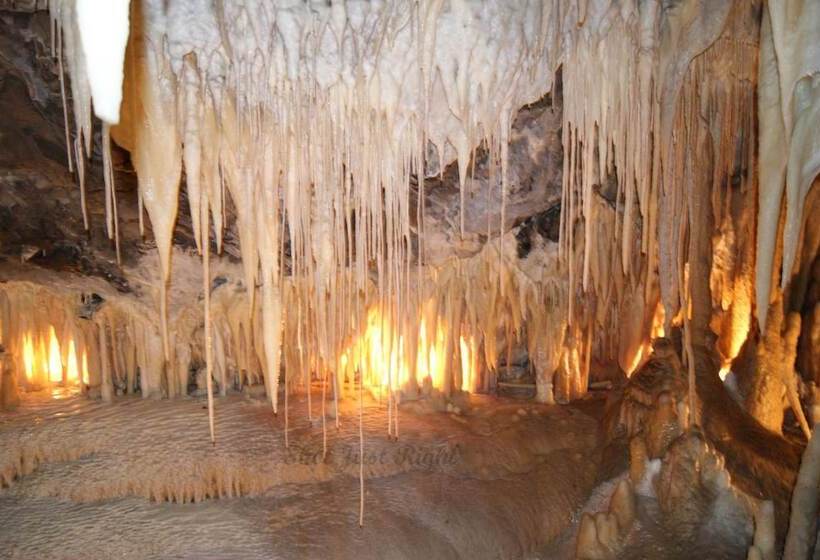 Bed and Breakfast Cradle Alpine Retreat