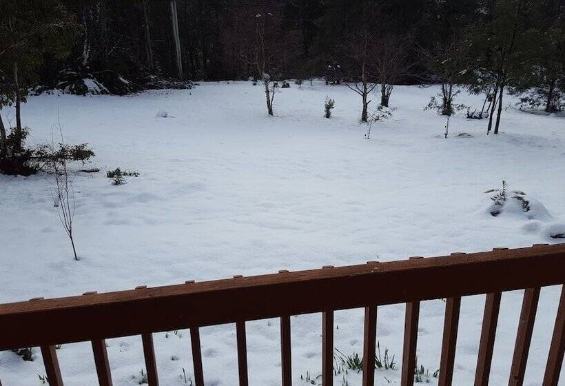 Bed and Breakfast Cradle Alpine Retreat