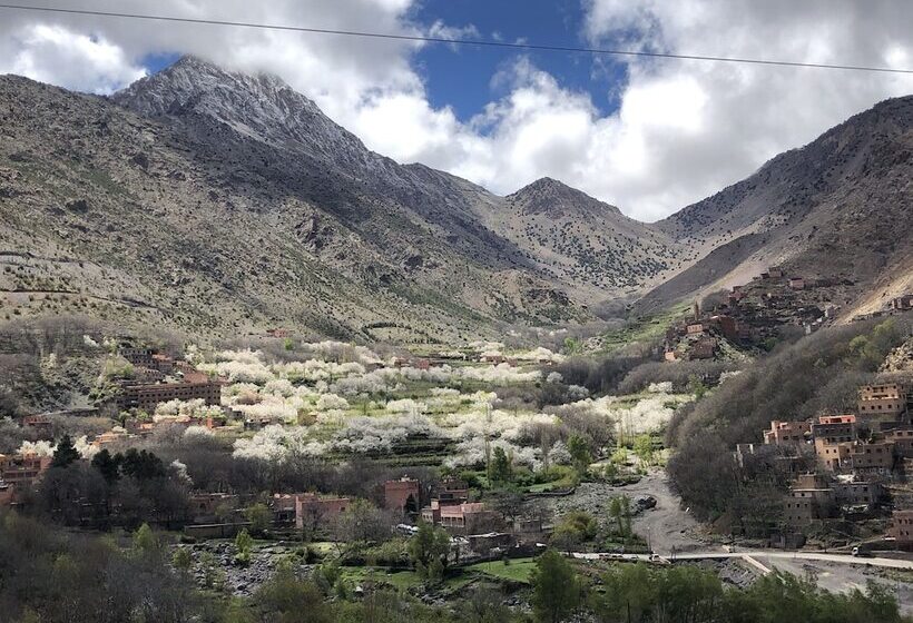 Bed & Breakfast Riad Atlas 4 Seasons