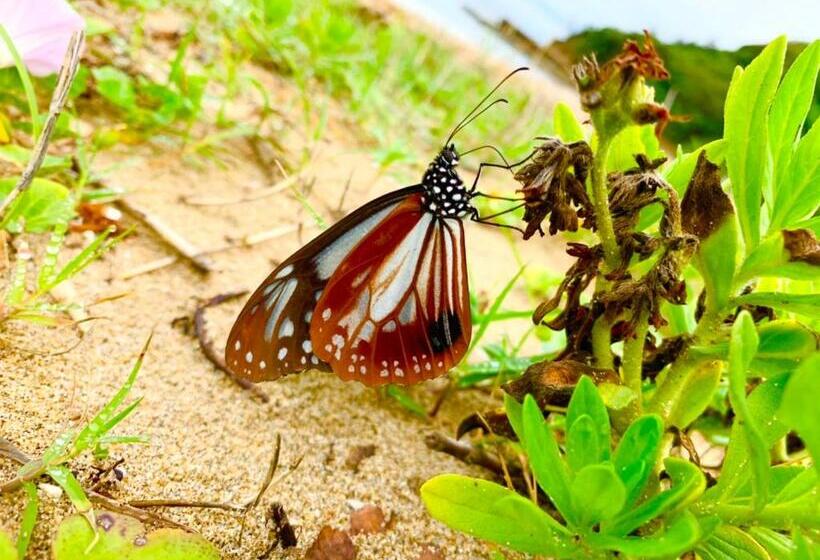 ریوکان Japanese Style Hotel Morigen