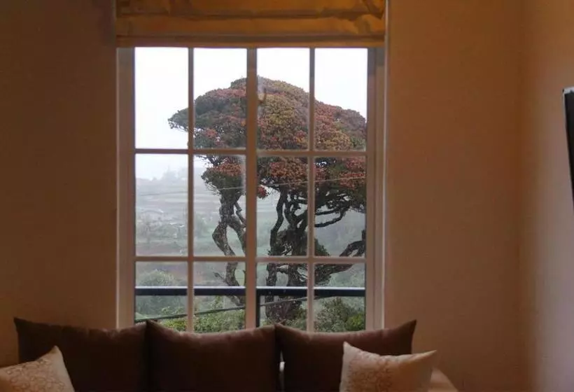 Tranquil Villa
