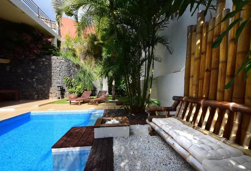 Bed and Breakfast Chalet Codivilla