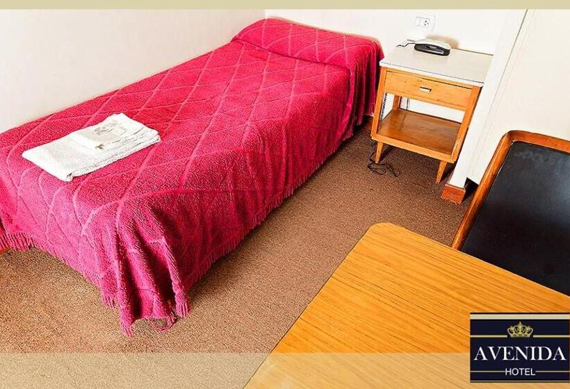 酒店 Avenida