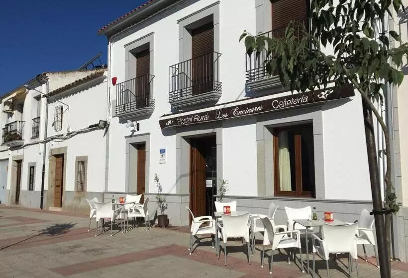 ユースホステル Hostal Los Encinares