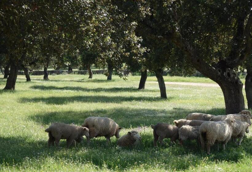 הוסטל Hostal Los Encinares