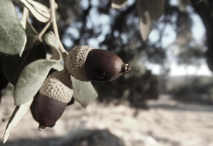 הוסטל Hostal Los Encinares