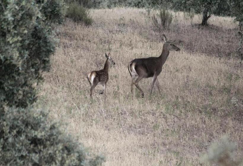 הוסטל Hostal Los Encinares