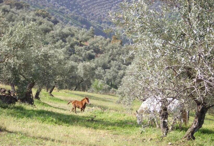 הוסטל Hostal Los Encinares