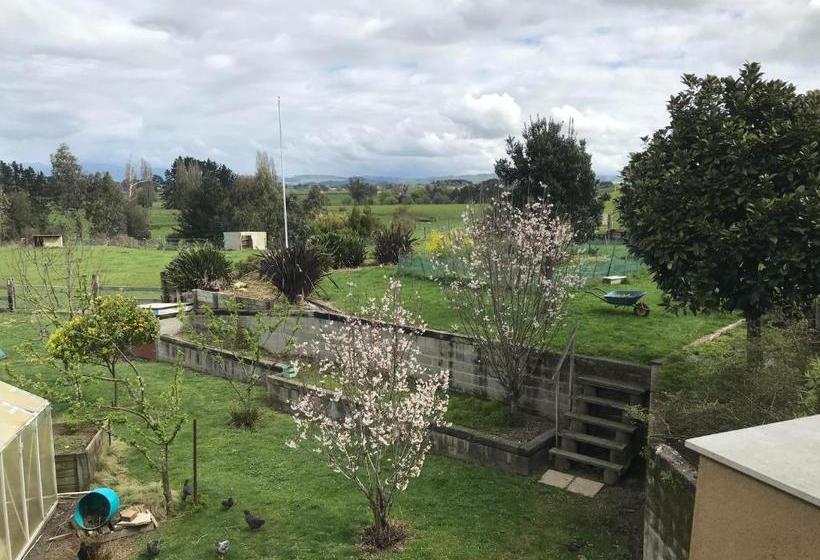 Lucky Duck Country Lodge B&b Hamilton