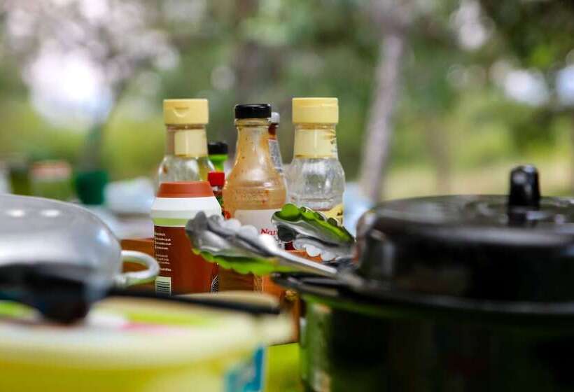 استراحتگاه Bushbaby Lodge At Nkonyeni