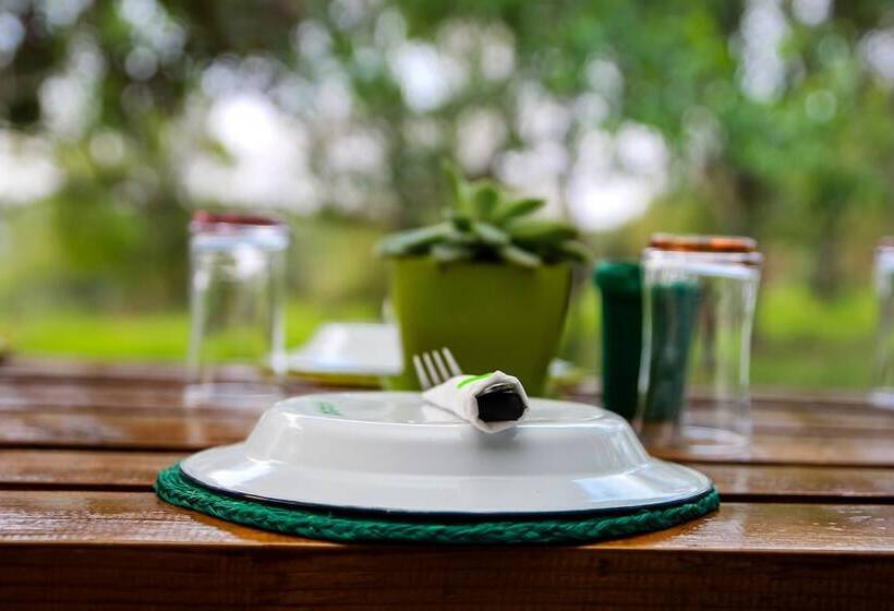 استراحتگاه Bushbaby Lodge At Nkonyeni