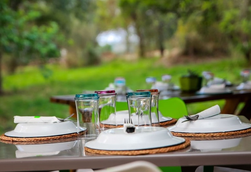 استراحتگاه Bushbaby Lodge At Nkonyeni