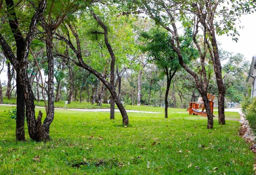 استراحتگاه Bushbaby Lodge At Nkonyeni