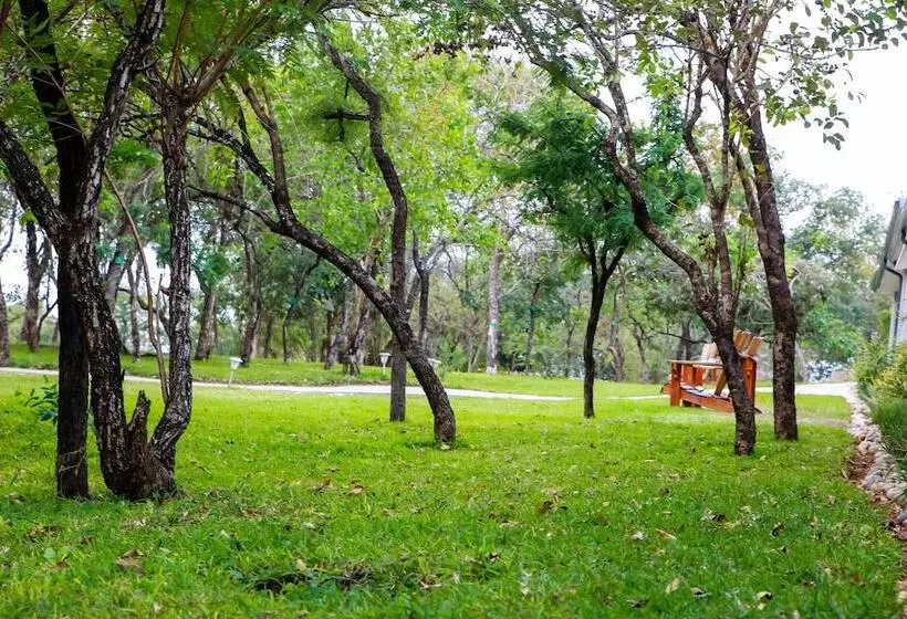 استراحتگاه Bushbaby Lodge At Nkonyeni