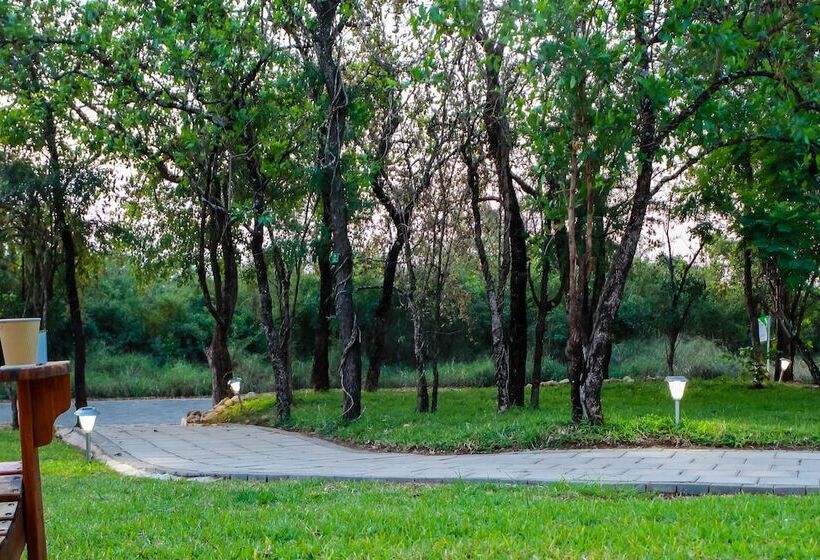 استراحتگاه Bushbaby Lodge At Nkonyeni