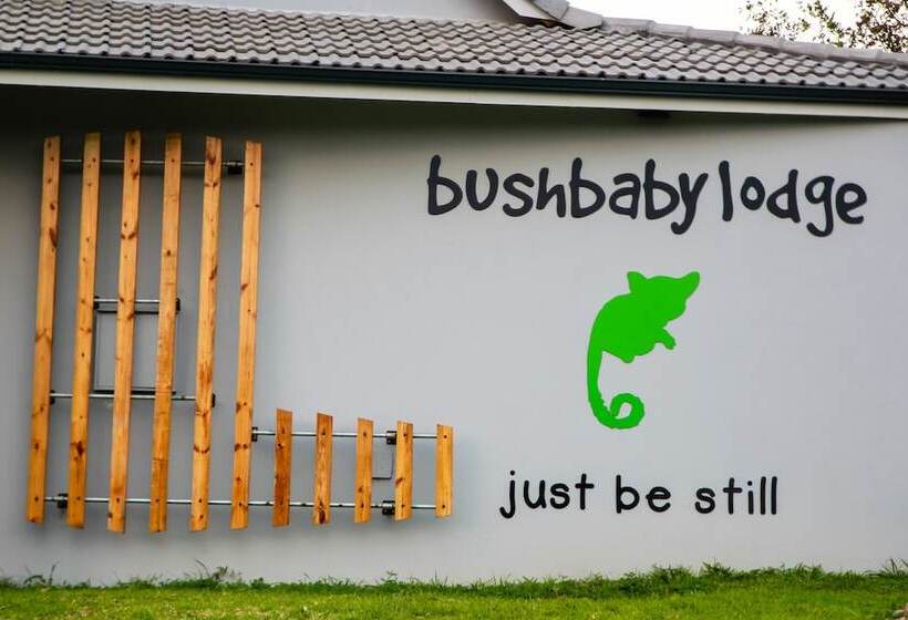 استراحتگاه Bushbaby Lodge At Nkonyeni