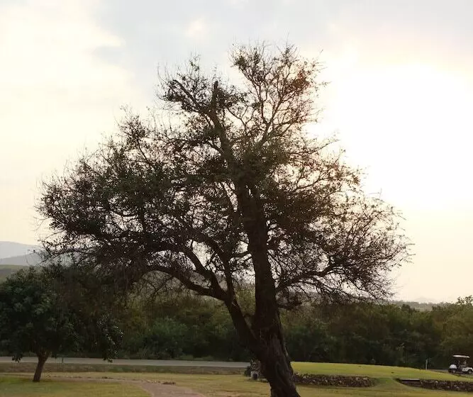 استراحتگاه Bushbaby Lodge At Nkonyeni