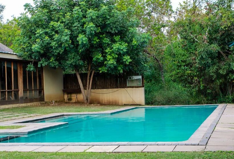 استراحتگاه Bushbaby Lodge At Nkonyeni