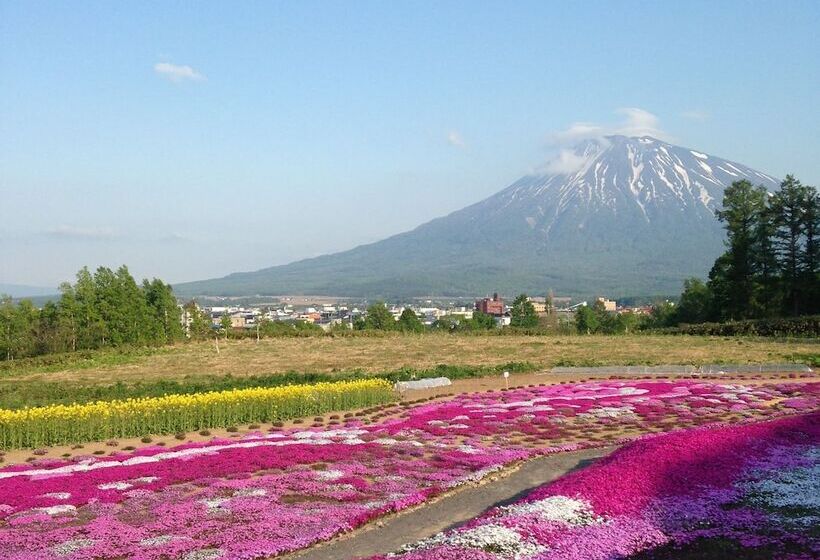 مبيت وإفطار Niseko Kashinoya   Hostel
