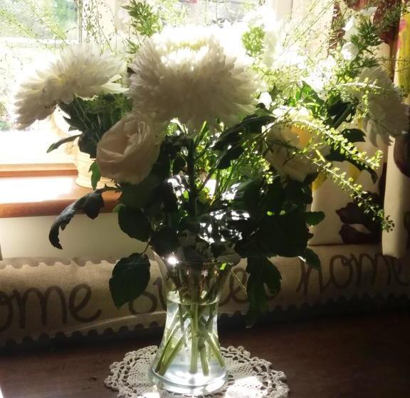 مبيت وإفطار Windylands