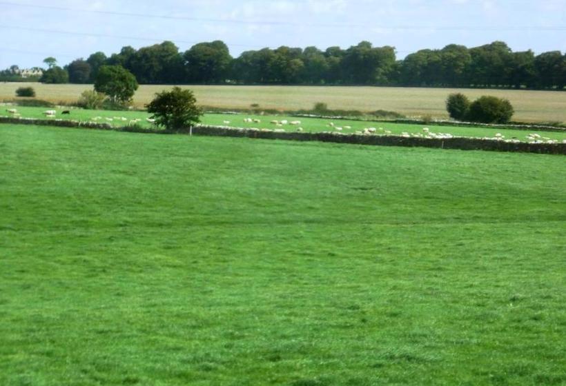 مبيت وإفطار Windylands