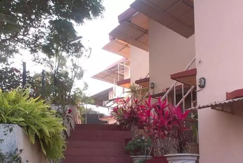 ホテル Anando , Saputara