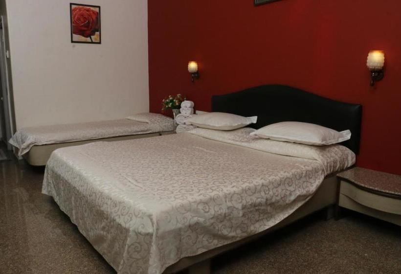 Hotel Anando , Saputara