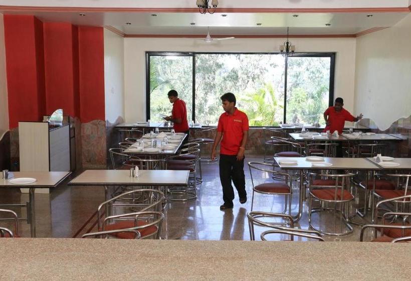 Hotel Anando , Saputara