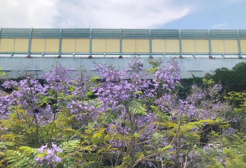 בית מלון כפרי Hyatt Regency Xiamen Wuyuanwan