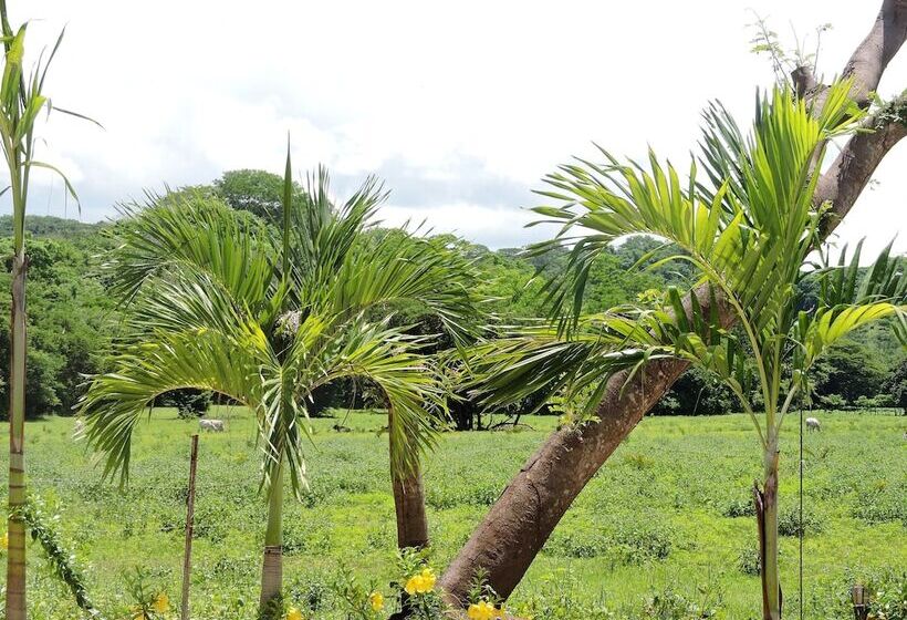 هتل Las Perlitas Rentals Playa Samara