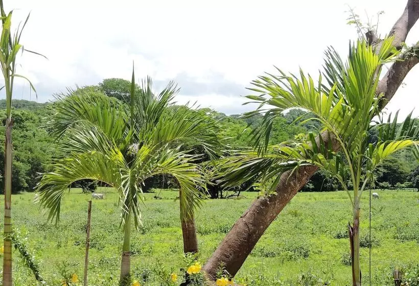 Hotelli Las Perlitas Rentals Playa Samara