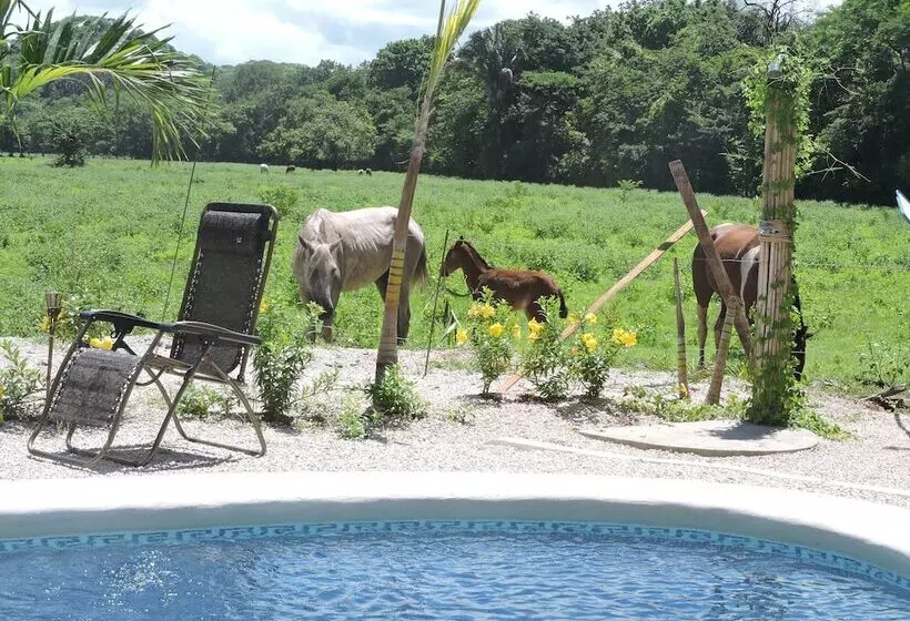 Hotelli Las Perlitas Rentals Playa Samara