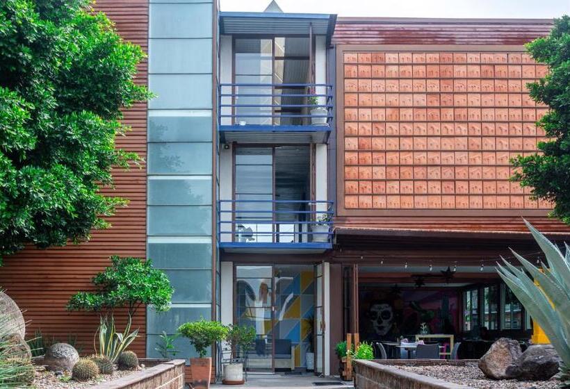 تختخواب و صبحانه Kubo