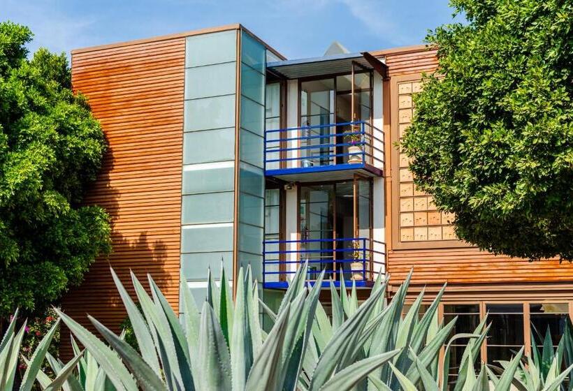 تختخواب و صبحانه Kubo