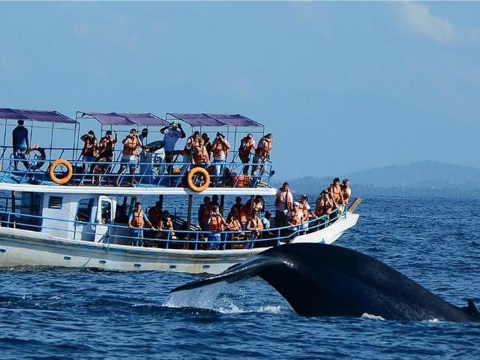 Bed and Breakfast Neem Jay Beach Resort