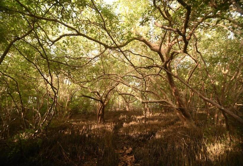 Bed and Breakfast Neem Jay Beach Resort