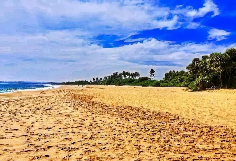 ベッドアンドブレックファースト Neem Jay Beach Resort