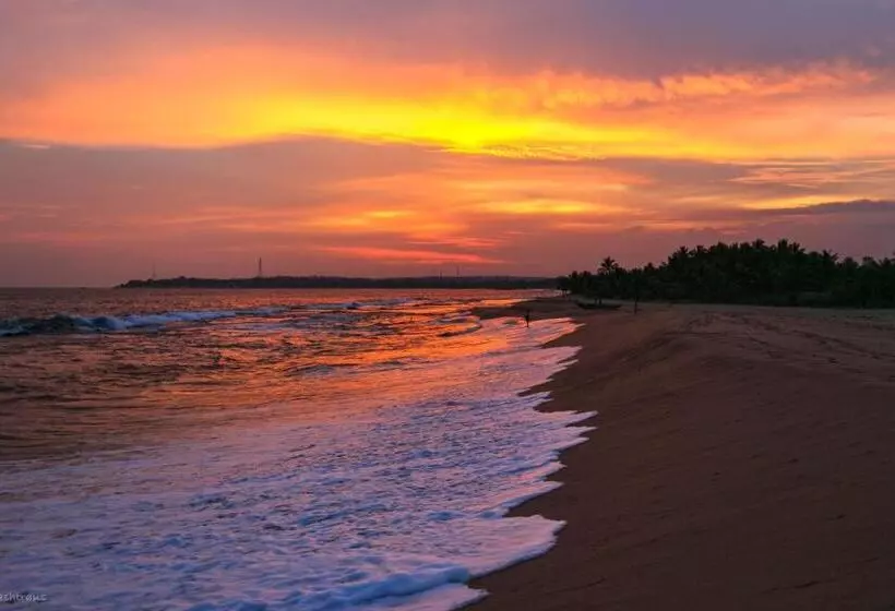 ベッドアンドブレックファースト Neem Jay Beach Resort