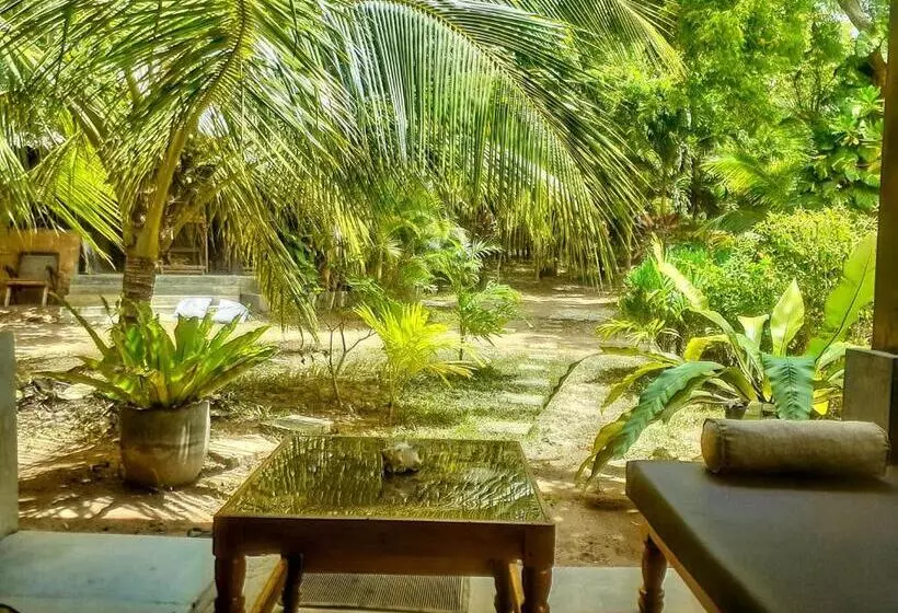 ベッドアンドブレックファースト Neem Jay Beach Resort