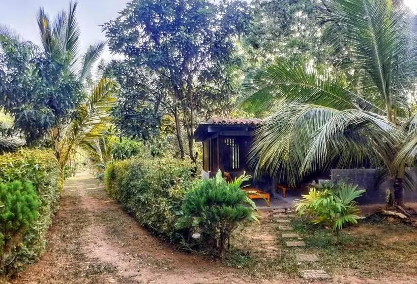 ベッドアンドブレックファースト Neem Jay Beach Resort