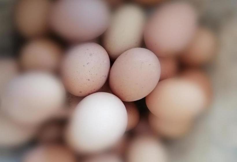 هتل Villa Nora Hvar