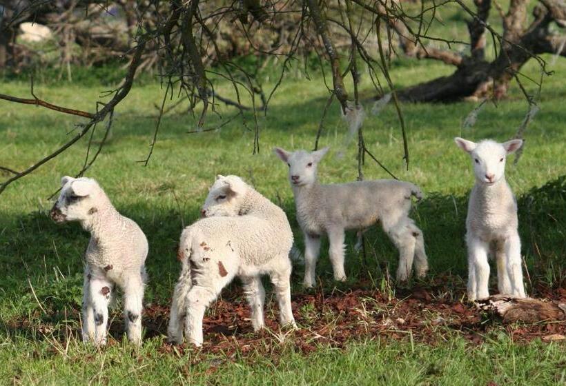 Ingon Bank Farm Bed And Breakfast